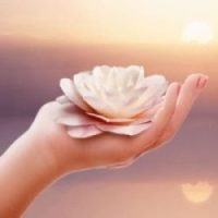 gold-beauty-cocooning-claire-estheticienne-beaute-soin-mains-pieds-epilation-cire-peau-douce-epilation-jambes-epilation-demi-jambes-epilation-jambes-entieres-epilation-maillot-epilation-aisselle-epilation-bras-epilation-visage-epilation-maillot-classique-epilation-maillot-echancre-epilation-maillot-bresilien-epilation-maillot-americain-epilation-maillot-semi-integral-epilation-maillot-integral-epilation-sourcils-epilation-levres-epilation cuisses-epilation-maillot-echancre-pose-vernis-ongle-manucure-pedicure-manicure-limage