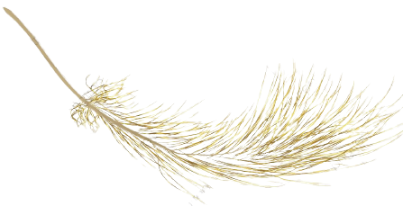 gold-beauty-cocooning-estheticienne-soins-relaxants-domicile-lattes-corps-visage-beauté-pieds-mains-epilation-produits-cosmetiques-aloe-vera-naturel-massage-entreprise-gommage-tension-musculaire-dos-plume-gold