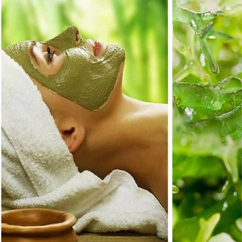 gold-beauty-cocooning-claire-estheticienne-domicile-lattes-soins-visage-produits-cosmetiques-aloe-vera-naturel-gommage-masque-hydratant-rougeurs-imperfection-terne-purifiant-serum-cremes-deshydration-peau-douce-revitalisant-rajeunissant-luxueux-precieux-pierres-semi-precieuse-or-demaquillant-lotion-anti-rides-nourrissant-collagene-acide-hyaluronique-poudre-perle-diamant-vitamine-E-massage-visage-cuir-chevelu-pores-sebum-peaux-seches-eclat-teint-elasticite-fermete-points-noirs-type-de-peau-grasse-mixte-contour-yeux-algues-marines-antioxydantes-détoxifiantes-liftant-tonifiant-repulpant-illuminateur-bonne-mine